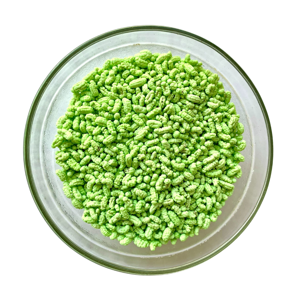 Green Madrasi Moti